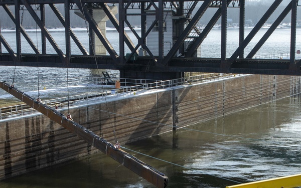 ERDC researcher uses sound to sustainably deter invasive Asian carp in USGS project