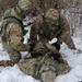 Falcon Brigade OC/Ts certification exercise