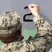 ACB 1 Sailor Paints INLS