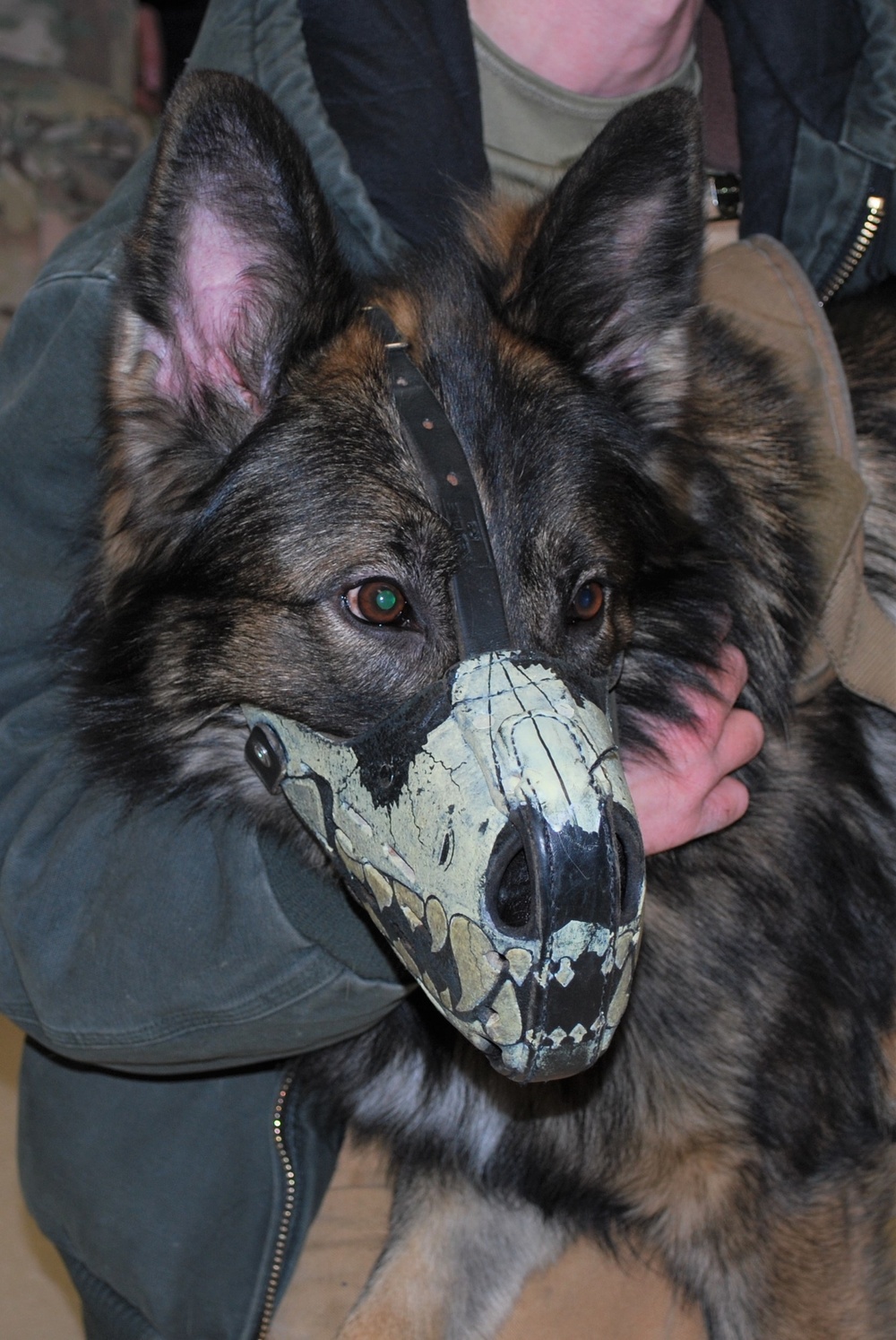 Fort Wainwright MSTC debuts K-9 First Responder class