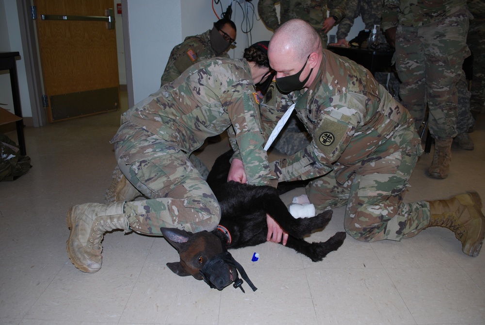 Fort Wainwright MSTC debuts K-9 First Responder class