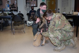 Fort Wainwright MSTC debuts K-9 First Responder class