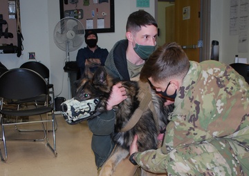 Fort Wainwright MSTC debuts K-9 First Responder class