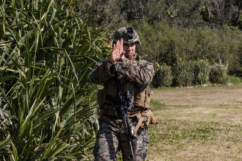 CLB 31, 31st MEU conduct FHA exercise