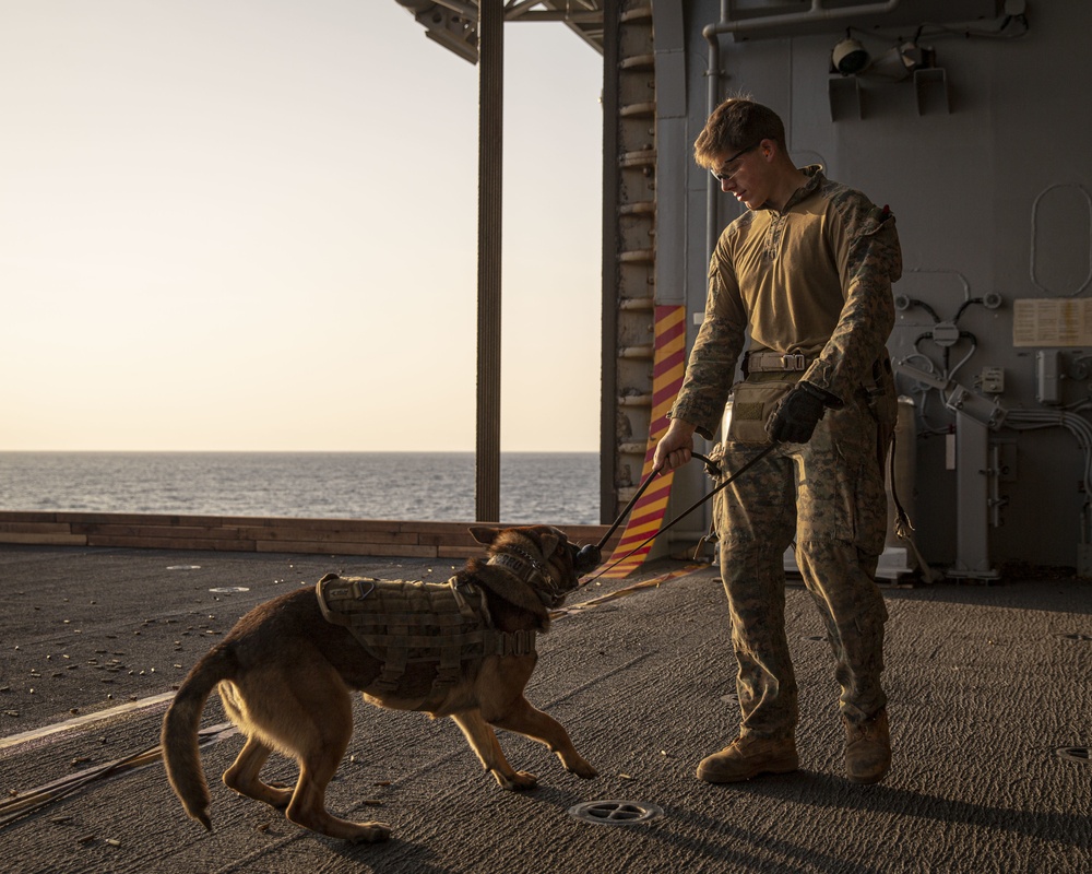 FRP Marines enhance their marksmanship