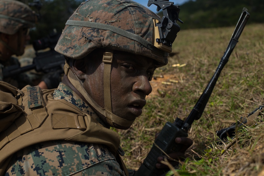 Marines with 3d Battalion, 8th Marine Regiment conduct a live-fire range.