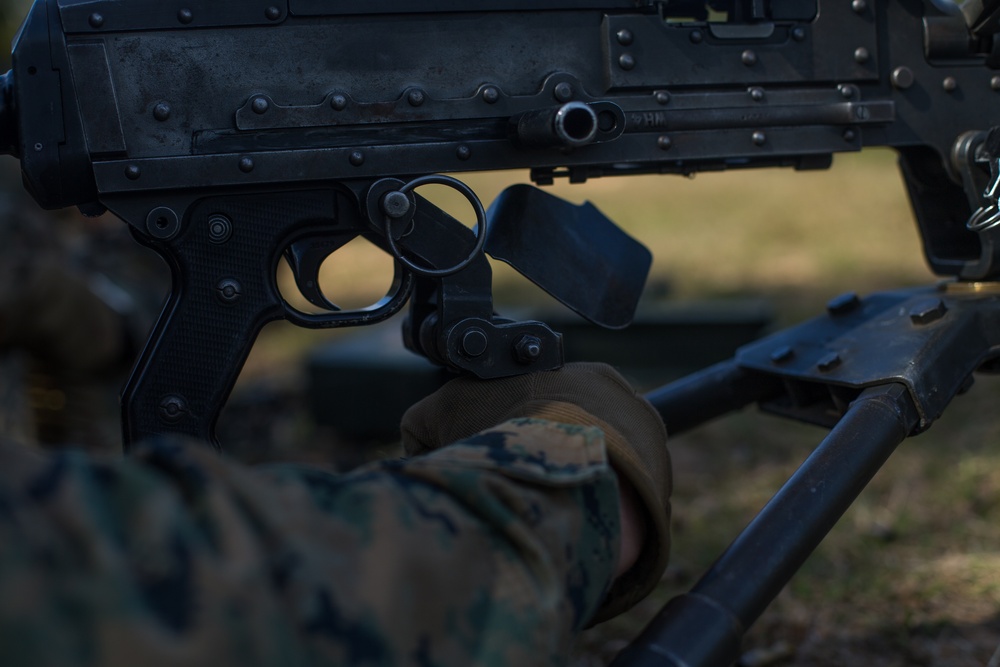 Marines with 3d Battalion, 8th Marine Regiment conduct a live-fire range.