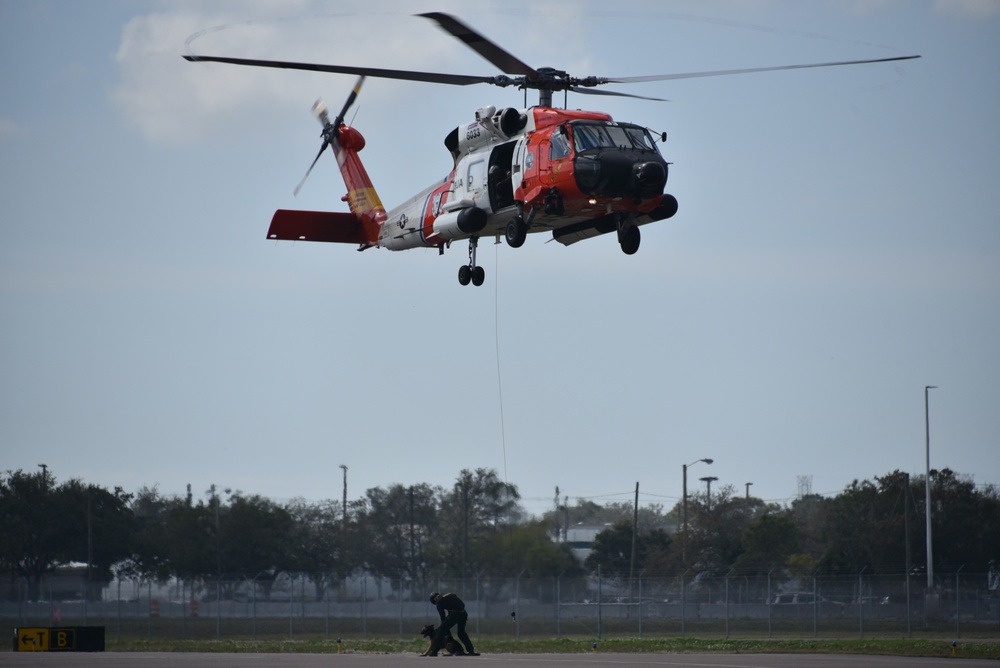 Coast Guard along with Pasco Sheriff Office canine unit conducts canine hoist training at Air Station Clearwater