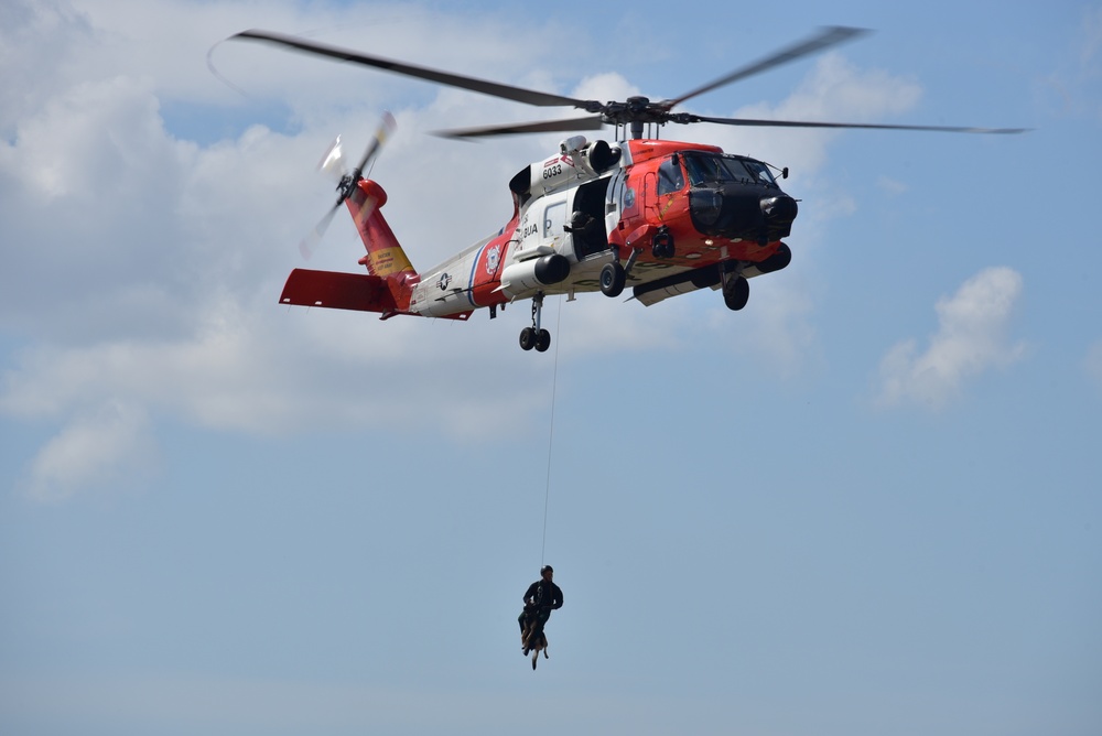 Coast Guard along with Pasco Sheriff Office canine unit conducts canine hoist training at Air Station Clearwater