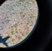 Operation Arizona Sunrise