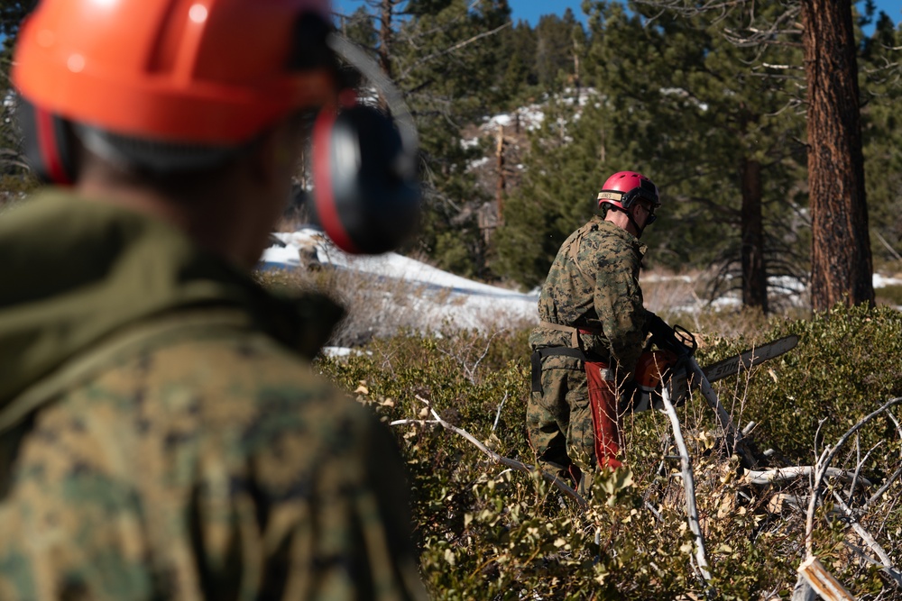 Mountain Engineers Fall Trees During Mountain Engineers Course