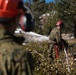 Mountain Engineers Fall Trees During Mountain Engineers Course