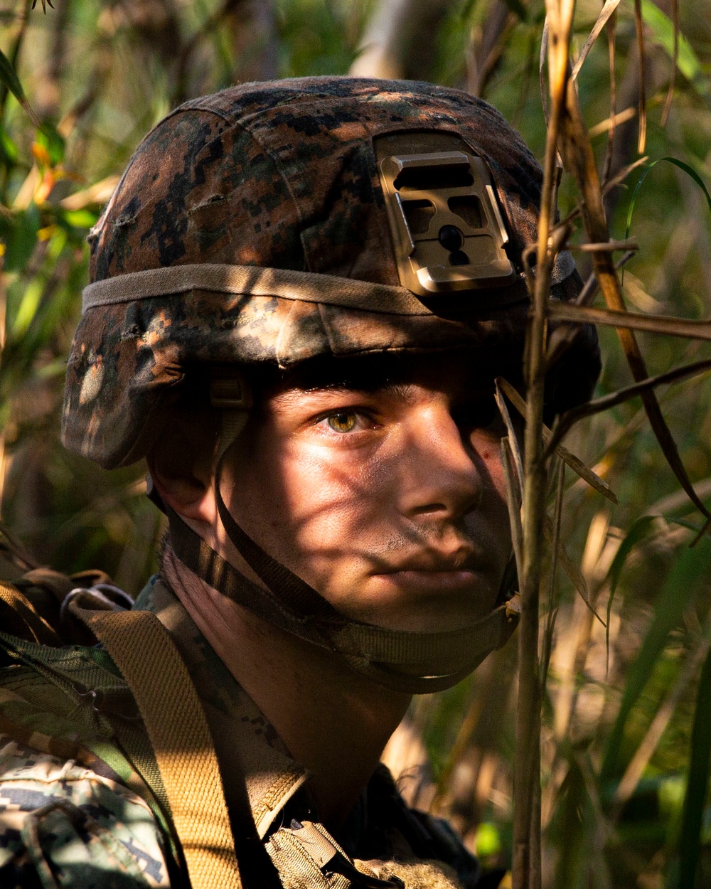 Sparrowhawk supports LAR raid