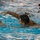 Marines complete swim qualification