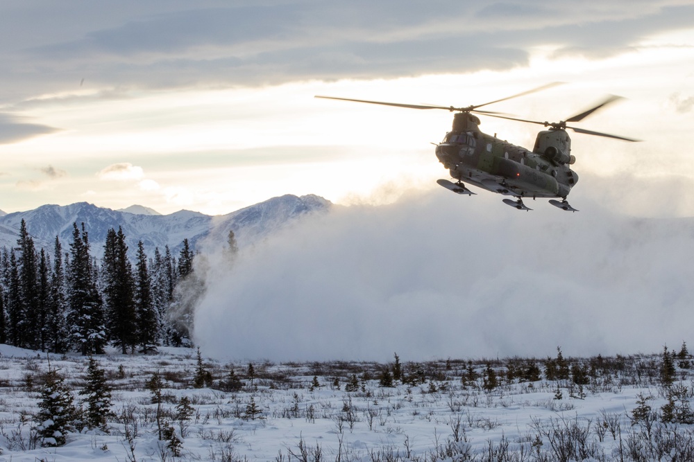 Royal Canadian Air Force Ch-147 transports US paratroopers