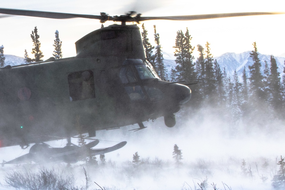 Royal Canadian Air Force Ch-147 transports US paratroopers