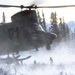 Royal Canadian Air Force Ch-147 transports US paratroopers