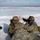 Charlie "Cobra" Company team live fire exercise
