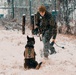 U.S. Marines work with K-9s during search operations