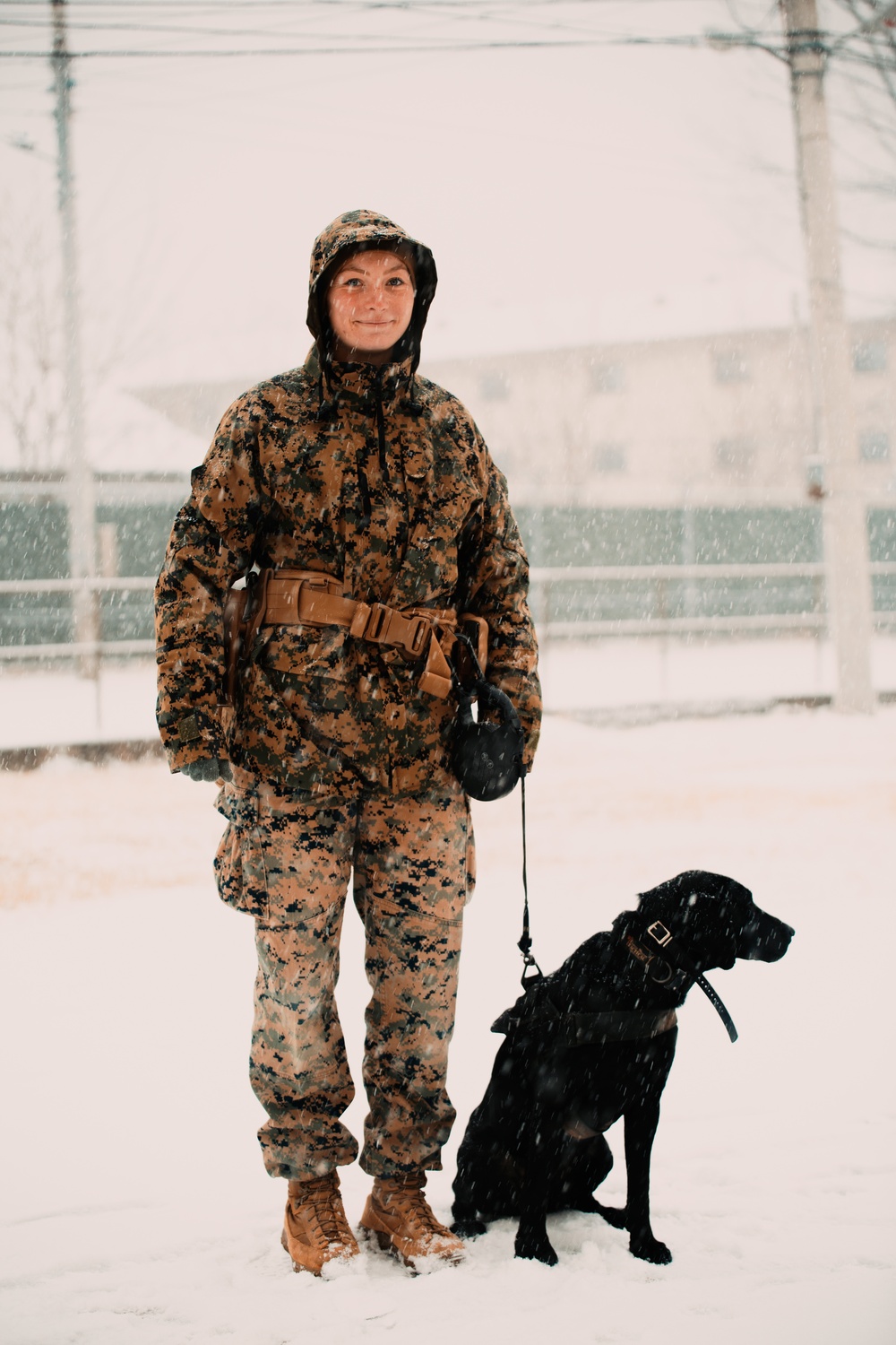 U.S. Marines work with K-9s during search operations