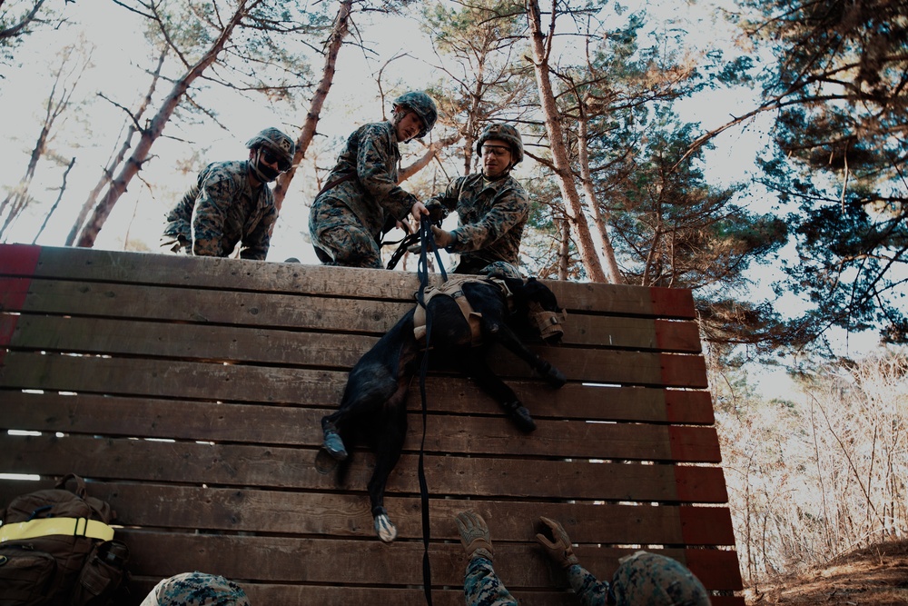 U.S. Marines, Sailors navigate obstacle course