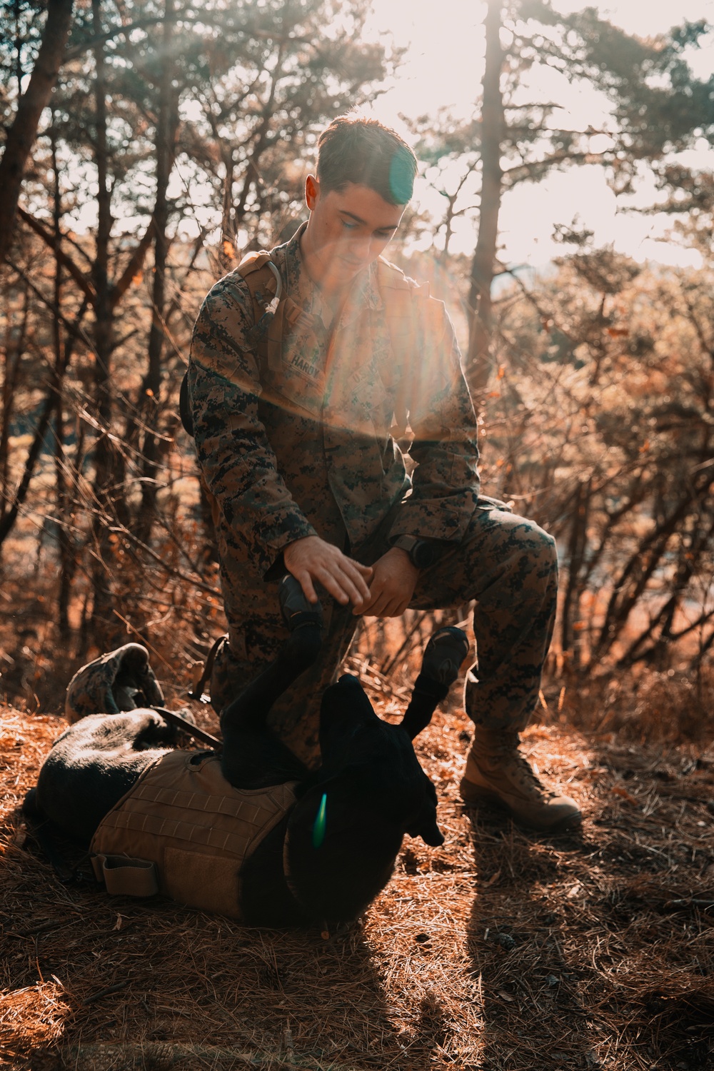 U.S. Marines, Sailors navigate obstacle course