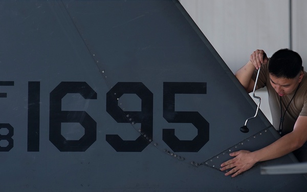 DFE maintainers deliver airpower, support regional security