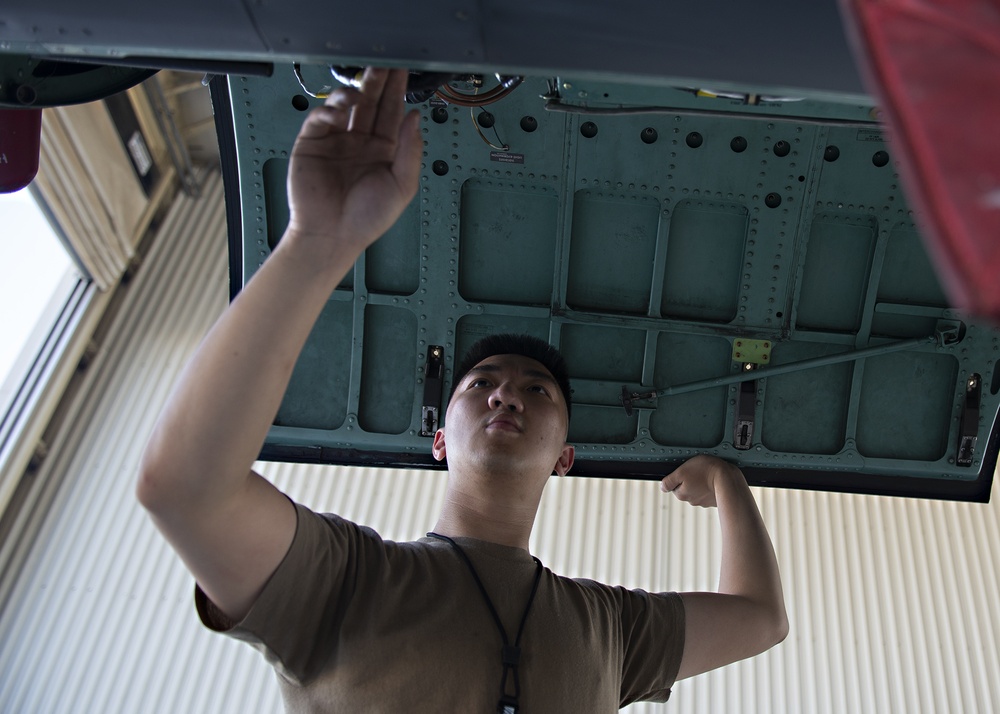 DFE maintainers deliver airpower, support regional security