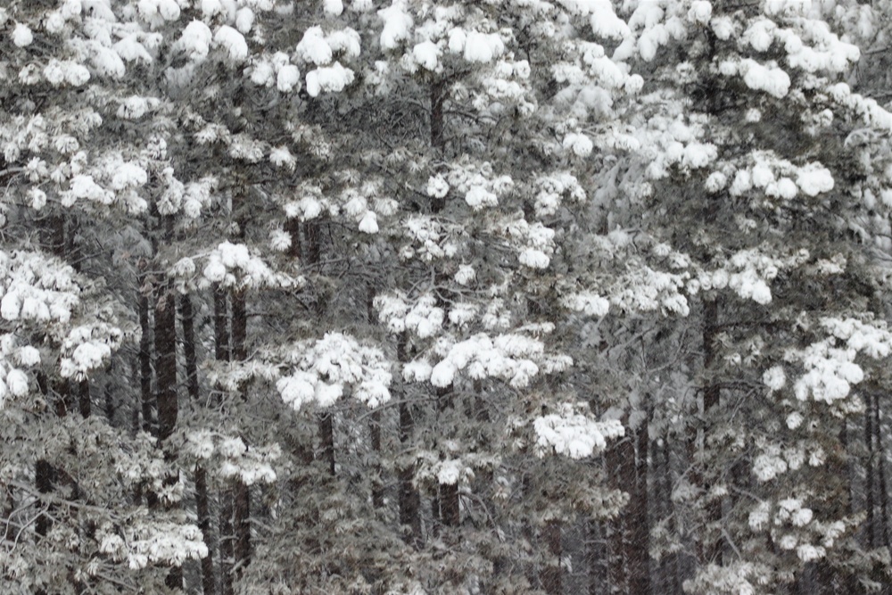 February 2021 winter scenes at Fort McCoy