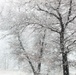 February 2021 winter scenes at Fort McCoy