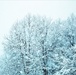 February 2021 winter scenes at Fort McCoy