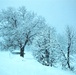 February 2021 winter scenes at Fort McCoy