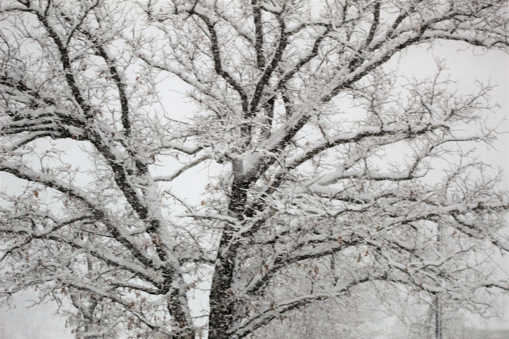 February 2021 winter scenes at Fort McCoy
