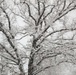 February 2021 winter scenes at Fort McCoy