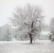 February 2021 winter scenes at Fort McCoy