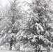 February 2021 winter scenes at Fort McCoy