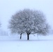 February 2021 winter scenes at Fort McCoy