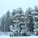 February 2021 winter scenes at Fort McCoy