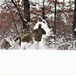 Fort McCoy CWOC class 21-03 students raise Artic tents during training scenario