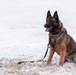 Military working dogs