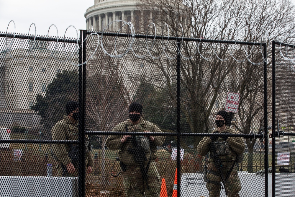 At the Capitol