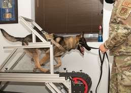 JBER defenders host commander immersion