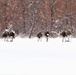 Cold-Weather Operations Course class 21-03 training operations at Fort McCoy
