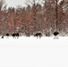 Cold-Weather Operations Course class 21-03 training operations at Fort McCoy