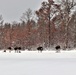 Cold-Weather Operations Course class 21-03 training operations at Fort McCoy