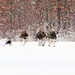 Cold-Weather Operations Course class 21-03 training operations at Fort McCoy