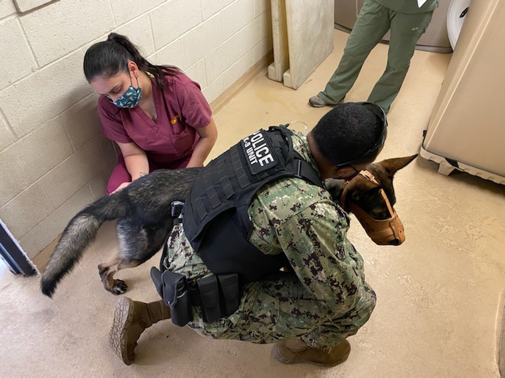 Mcas Miramar Id Card Appointment
