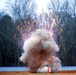 Bureau of Alcohol, Tobacco, Firearms and Explosives (ATF) Hosts Explosives Demonstration on Redstone Arsenal