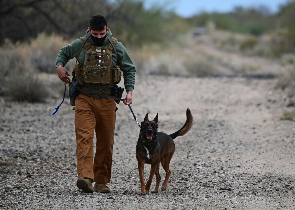 355th SFS military working dog team training