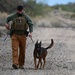 355th SFS military working dog team training
